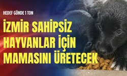 Hedef günde 1 ton: İzmir sahipsiz hayvanlar için mamasını üretecek
