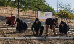 İzmir’in iklim çalışmaları Avrupa’dan uzmanları buluşturdu