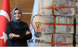 2,2 milyarlık fon vurgunu mahkemelik: AK Partili Kaya hakkında suç duyurusu