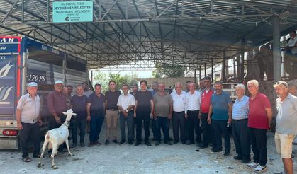 Seydikemer yangın mağduru çiftçilere umut olan hayvan dağıtımı başladı