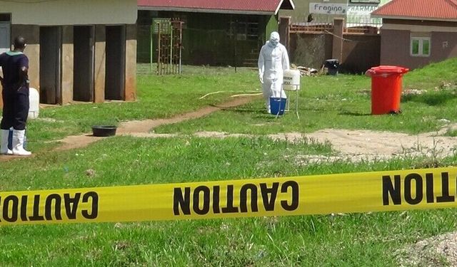 DSÖ bildirdi: Ebola salgını endişe verici bir hal aldı
