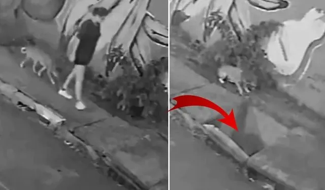 Köpeğini gezdirirken kanalizasyona düştü!