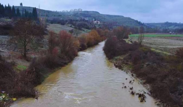 DSİ çayın onarılmasını reddetti: Belediye Başkanı isyan etti