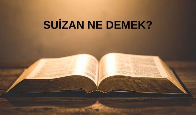 Türkiye bu kelimeyi araştırıyor: Siyasette gündem olan "suizan" ne demek?