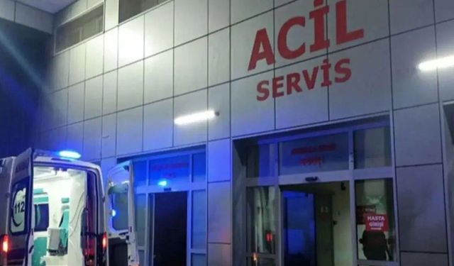Denizli'de gelin alma merasiminde 11 kişi yaralandı