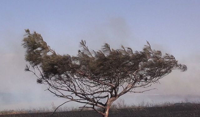2026 iklim alarmı: Türkiye için kuraklık, taşkın ve müsilaj tehlikesi kapıda!