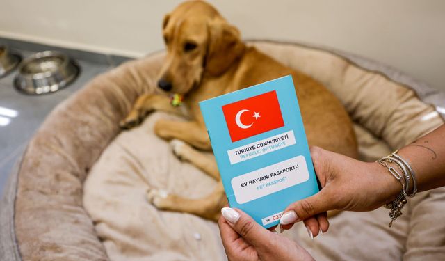 Terapi köpeği Bal, İzmir’de göreve başladı