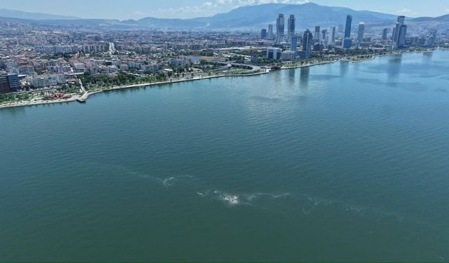 İzmir Körfezi’nde 14’üncü kez kirlilik tespit edildi