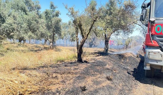 İzmir Bayındır'da korkutan arazi yangını
