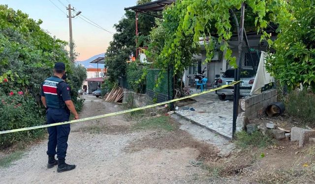 'Bahçe kapısı sesi'nden çıkan kavga kanlı bitti