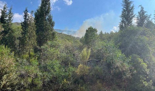 Muğla Marmaris'te orman yangını