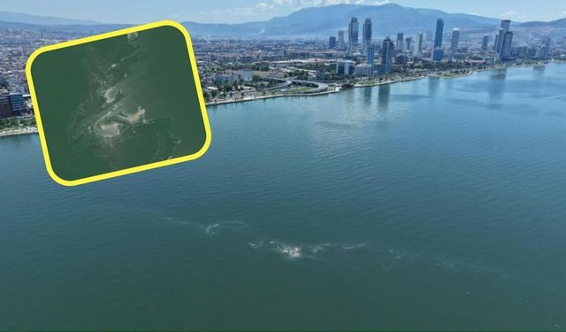 İzmir Körfezi'nde korkutan tablo: Çevre ve halk sağlığı tehdit altında