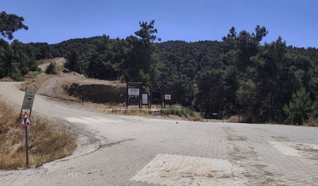 Eşek arısı soktu, anafilaktik şoka girdi: Öğretmenin imdadına ormancılar yetişti