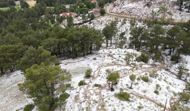 Denizli’de dolu felaketi! Aylarca verilen emek dakikalar içinde gitti
