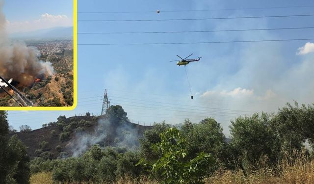 Aydın’da zeytinlikler alevlere teslim oldu! Havadan ve karadan müdahale sürüyor
