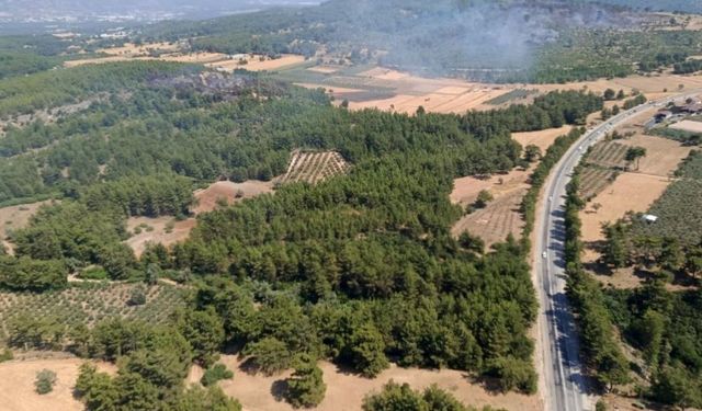 Zirai alanda başladı, ormana yayıldı! Muğla’daki yangında kritik müdahale