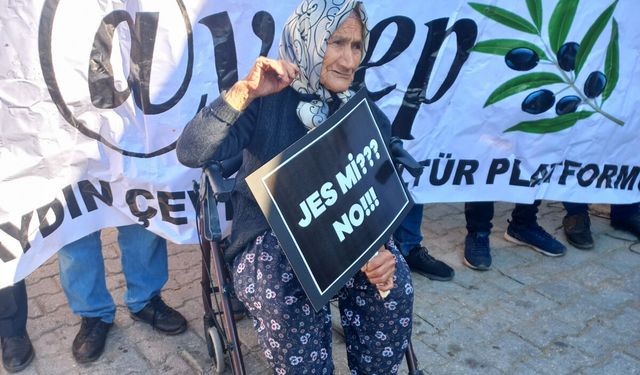 İzmir Selçuk'ta Verilen JES kararı iptal edildi ancak proje zeytinliklere takıldı!