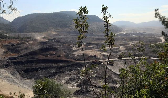 Akbelen’de tarım arazilerine yargı kalkanı: Mahkemeden emsal niteliğinde karar
