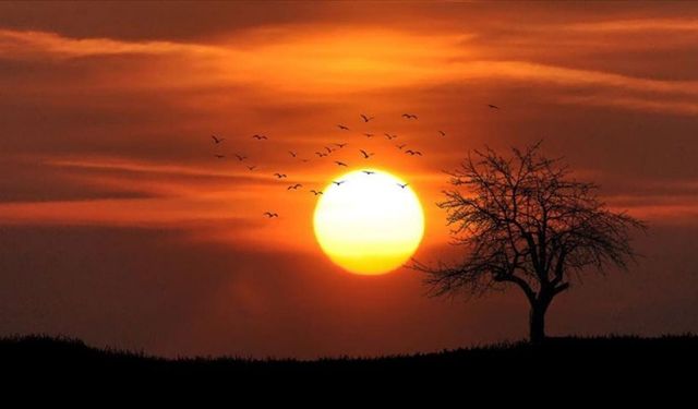 Gölgenin bile yetmediği sıcaklık: Termometreler 48 dereceyi gösterdi, hayat durdu