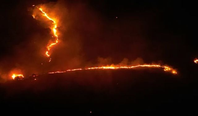 Manisa’da rüzgâr ile mücadele: Söndürülen yangın yine alevlendi