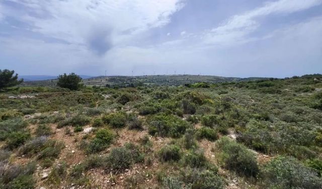 Çeşme’de 240 milyon dolarlık arazide GES skandalı: Amaç enerji değil araziyi ele geçirmek