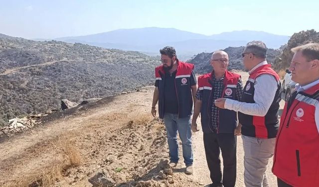 Aydın Çine orman yangını sonrası bilanço için ekipler sahaya indi