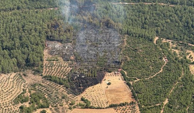 Muğla'da korkutan yangın ekiplerin hızlı müdahalesiyle durduruldu
