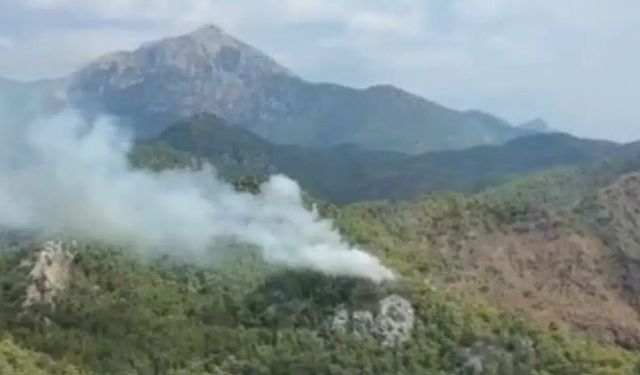 Antalya Kemer’de orman yangını!