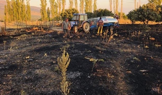 Denizli Çivril’de korkutan yangın! 5 hektar alan kül oldu