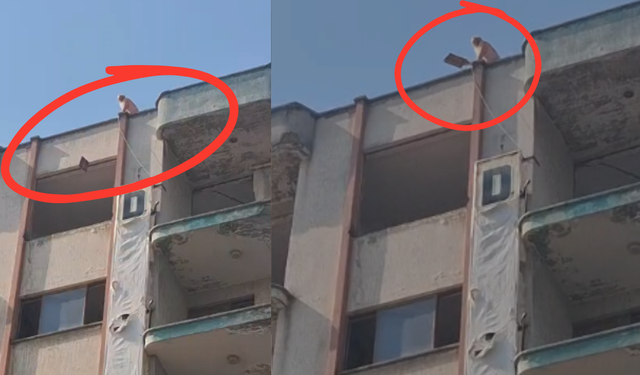 Denizli’de korku dolu dakikalar: Yüksek binadan aşağıya inşaat malzemeleri fırlattı!