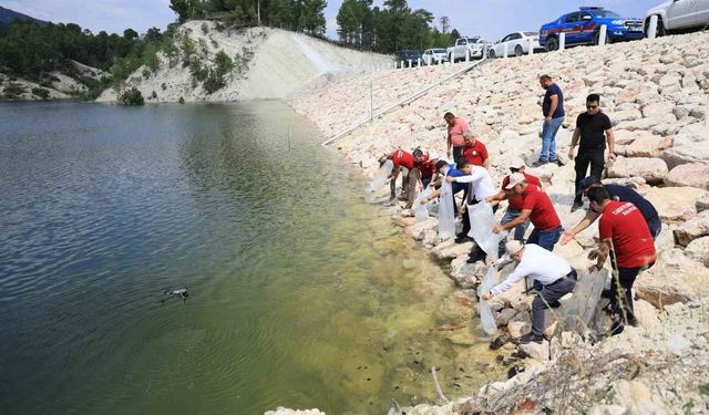 Geçen yıl kurumuştu, bu yıl su tuttu ve balıklandırıldı! Çameli'de sevindiren görüntü