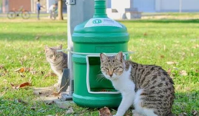 Konak’ta can dostlar için iki önemli karar