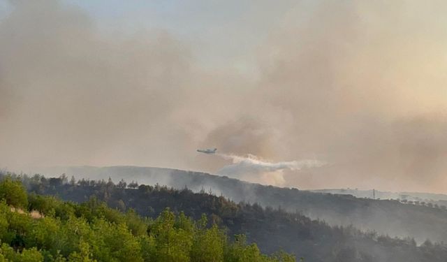 Manisa Kula'daki orman yangını kontrol altına alındı