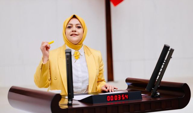 Milletvekili Ün, Denizli’nin tren isyanını meclise taşıdı