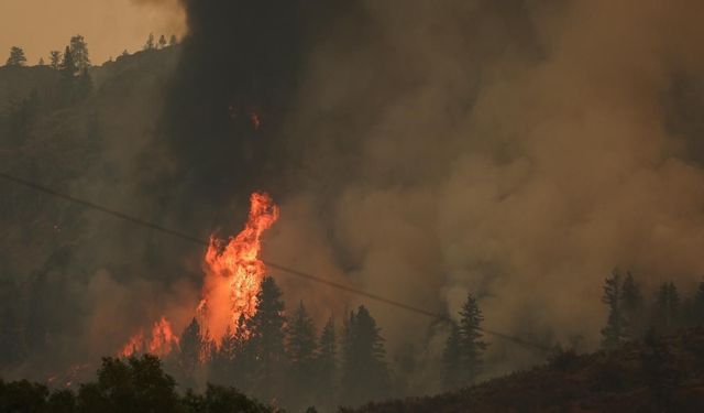 Alevler Washington’ı esir aldı: 60 bin kişi elektriksiz, hastaneler boşaltılıyor