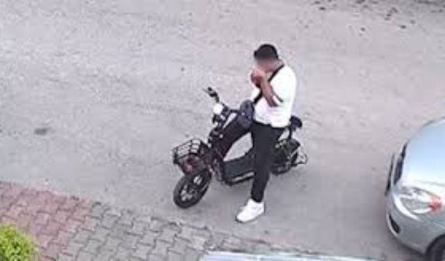Vicdanlar bir kez daha yaralandı: Yavru kediyi boğarak öldürdü