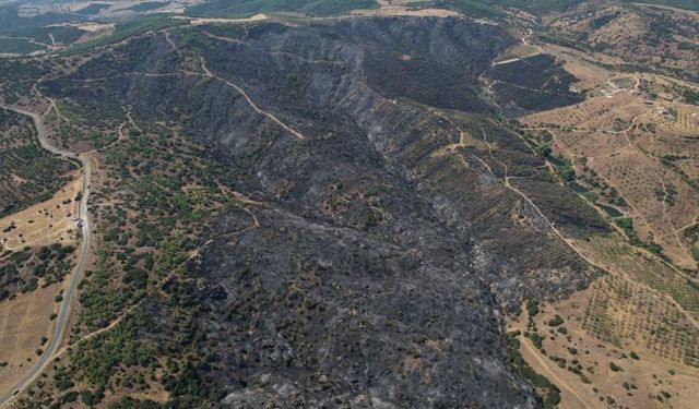 Manisa’da kâbus gecesi: Yangın ormana sıçradı, dev alan kül oldu