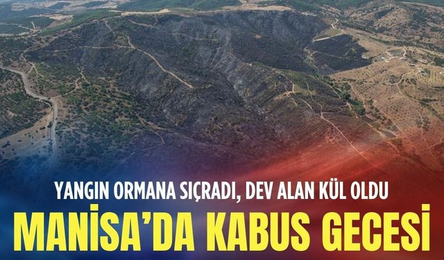 Manisa’da kâbus gecesi: Yangın ormana sıçradı, dev alan kül oldu