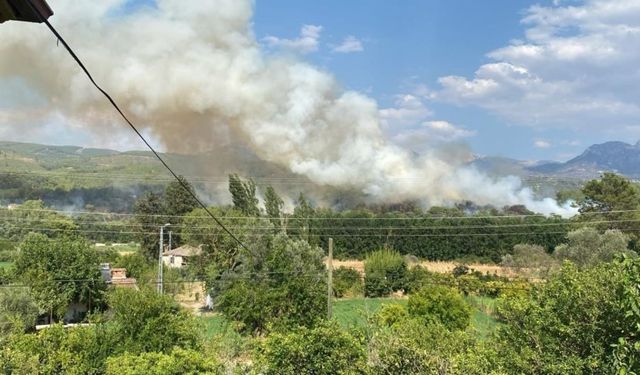 Muğla’da orman yangını! Çok sayıda söndürme aracı sevk edildi