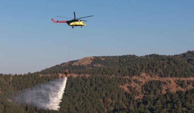 Aydın’da alevlere karşı 25 saatlik savaş! Kuyucak yangınında yeni gelişme