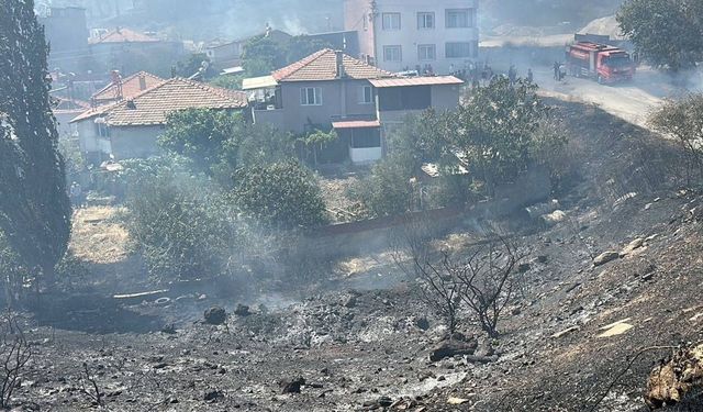 Otluk alanda başladı, ormana sıçradı! Kazdağları eteklerinde orman yangını