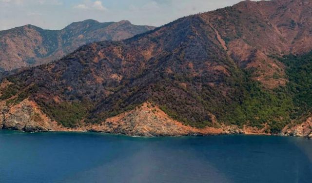 Marmaris’te kritik saatler: Orman yangınında son durum