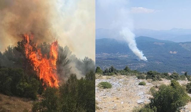 Muğla yanıyor! Rüzgârla yayılan alevlere karşı zamanla yarış