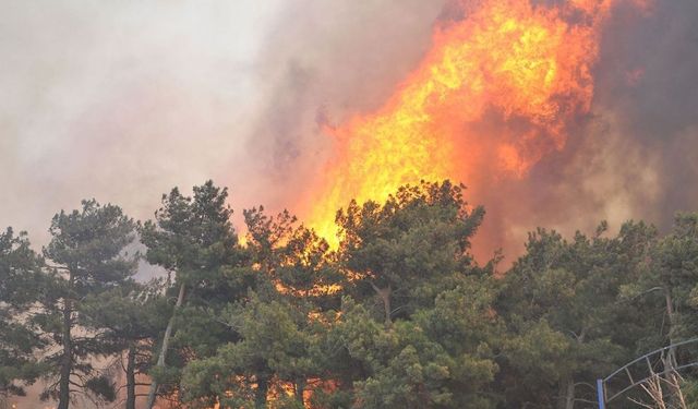 Çanakkale’de yangın paniği: Alevler rüzgârla büyüdü