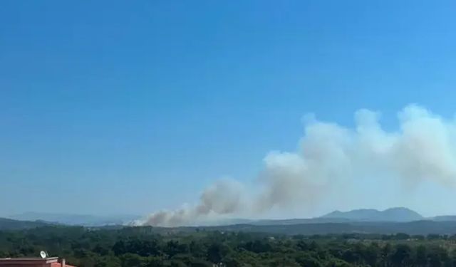 Alevler rüzgârla yayıldı: Çanakkale’de orman yangını!