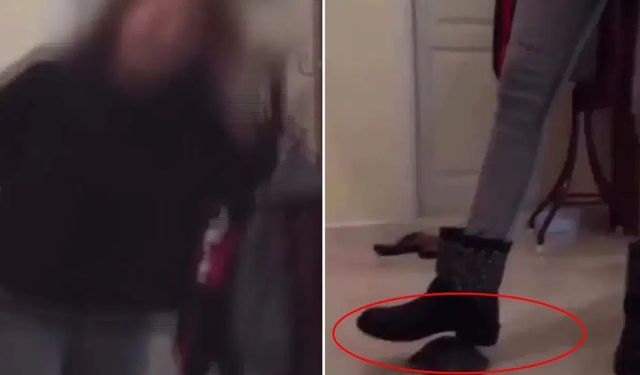 Kaplumbağayı ayağıyla ezen şüpheli gözaltına alındı