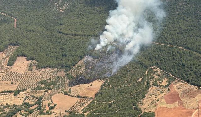 Muğla Yatağan'da zirai alanda başlayan yangın büyüyor: Ekipler zamanla yarışıyor