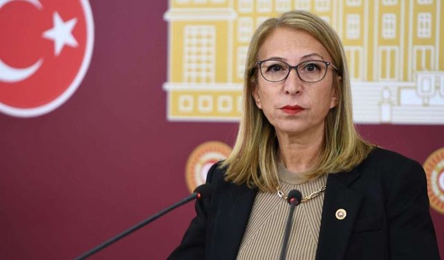 YENİ Parti Milletvekili Süreyya Öneş Derici 'Çerçeve Yasa' kararını açıkladı