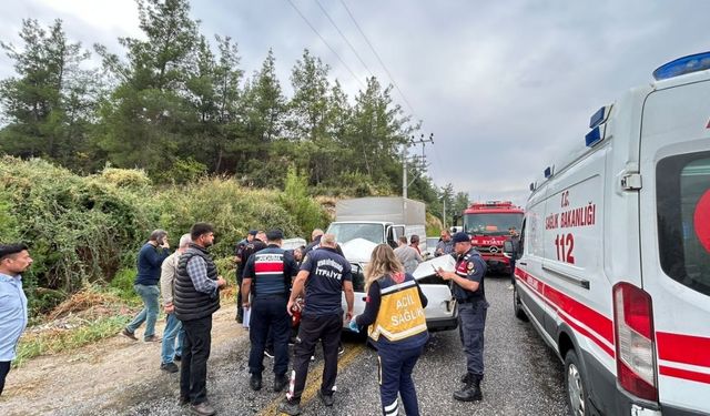 Aydın Bozdoğan'da kaza: Yolcu hayatını kaybetti