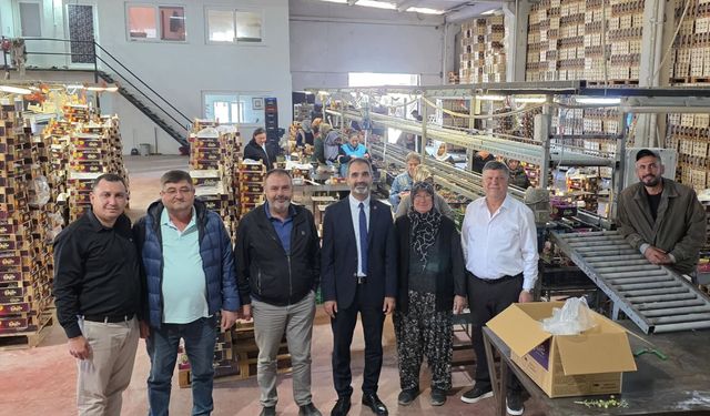 CHP İl Başkanı Oran, üreticilerinin mağduriyetine dikkat çekti